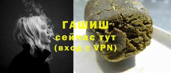 гидра Богородицк