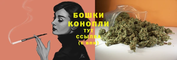 индика Верхний Тагил