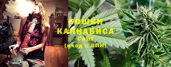 гидра Богородицк