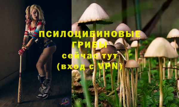 метамфетамин Верея
