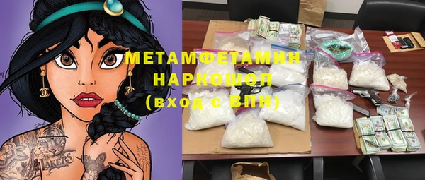 гидра Богородицк