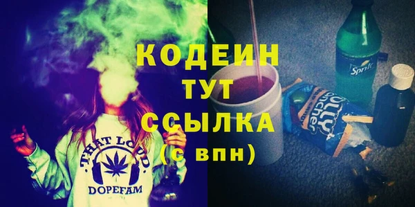 индика Верхний Тагил