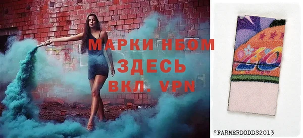 гидра Богородицк